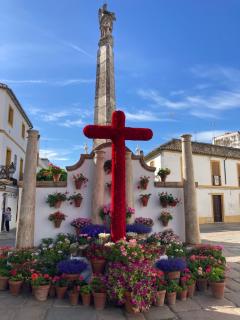 EL TESORILLO - Cordoue - 8