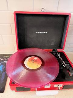 Larry's Lancaster Landing: with fully-fenced yard - 7