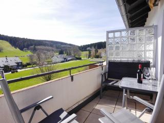 Appartement HappyNest*** mit Hallenbad - Willingen - 4