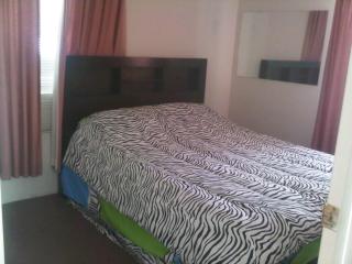 BALSAM LAKE 4 BED ROOM COTTAGE - Kawartha Lakes - 2