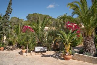 Bungalows Casa Amarilla - Playa de Migjorn - 6