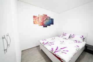 Arad City Center Comfortable Apartment - Arad - 7