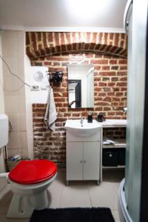 Arad City Center Comfortable Apartment - Arad - 6