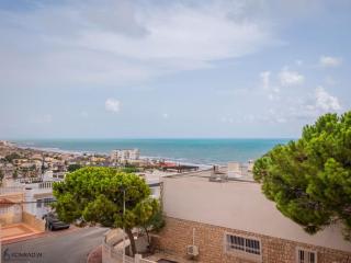 Joana LA MATA - Torrevieja - 8