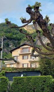 B&B-FORESTERIA Casa Della Musica Lake Como - Mandello del Lario - 5