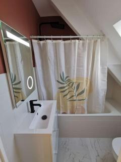 Le charmant de Lourmel appartement de 30m2 au calme - Pontivy - 3