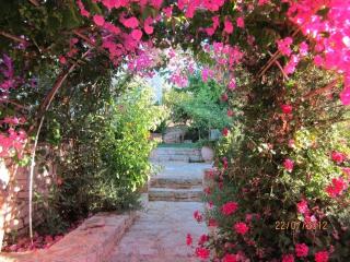 Impressive Rethymno Villa 3 Bedrooms Villa Kiriya Private Garden Private Outdoor Pool Bbq Outdoor Sitting And Dining Area Prines - Prinés - 9
