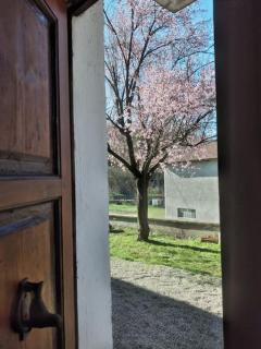 La Casa Rossa -Dimora di campagna - Montechiaro D'acqui - 3