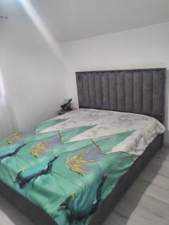 Alina apartaments - Sibiu - 6