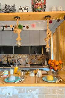 The House of Cats - Oliveira do Douro - 9