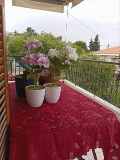 Aggela House - Nea Kallikratia - 0