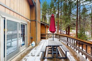Scenes of Evergreens - Incline Village - 8