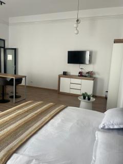 Aris Central&Cozy Studios - Iaşi - 1