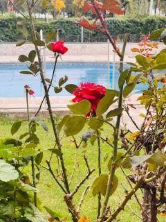 Depto del Lago - 9
