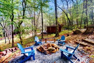 Bluebird Bliss - Blue Ridge - 8