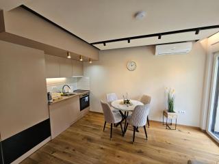 PREMIUM APARTMAN ELENI ROOMS,oaza mira i tisine u centru Vrnjacke banje - Vrnjačka Banja - 3