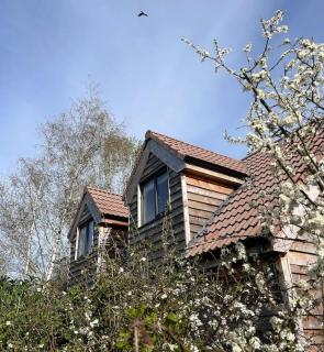The Loft at Tanglewood - Wrington - 7