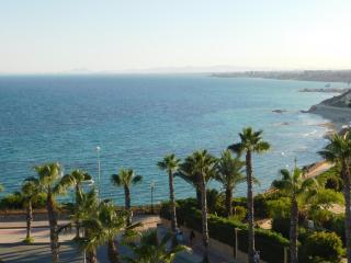 Playamarina I - Cabo Roig - 0