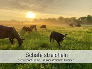 Ferienwohnung Hof Norden für Familien und Paare - 8