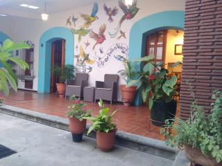 Céntrica y confortable habitación - Città di Oaxaca - 1