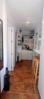 El laurel y el limonero. - 3