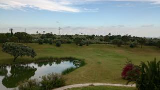 El laurel y el limonero. - 5