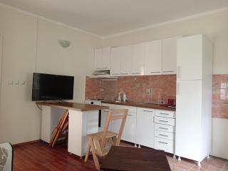 Vila VILA - Vrnjačka Banja - 2