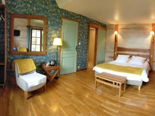 Chambre familiale au cœur de la nature avec jardin et piscine privée, idéale pour explorer le Loiret - FR-1-590-265 - Vitry-aux-Loges - 7