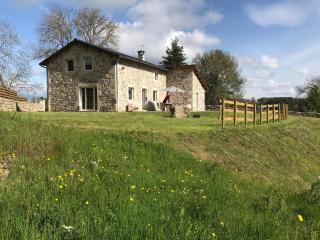 Charmante maison en pierre près du Lac de Lavalette, idéale pour randos, nature et détente totale - FR-1-582-43 - Saint-Jeures - 5