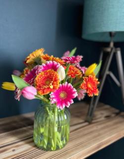 Millbrae Apartment - 4