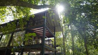 Ella Jungle Resort - Ella - 3
