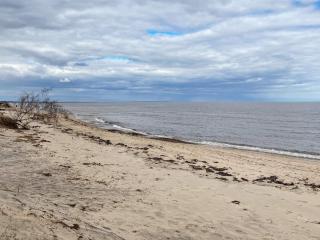 Timber Cottage with Rustic Charm - 1