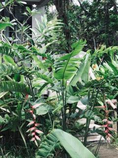 DreamTime - Hikkaduwa - 1