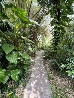 DreamTime - Hikkaduwa - 3