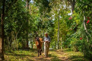 Isla's Ridge - A CGH Earth SAHA Experience - Kodaikānāl - 7