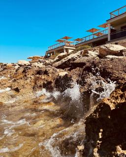 Hotel Plein Large - Bandol - 6