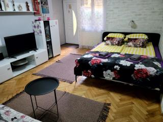 Apartman "GARDEN" with PRIVATE PARKING - 2