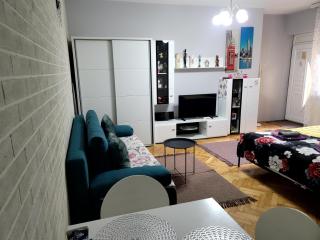 Apartman "GARDEN" with PRIVATE PARKING - 6