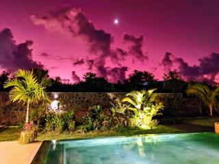 Lakaz Kannell - Coconut Lodge secluded outside shower, infinity pool - Cap Malheureux - 3