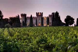 Hostellerie du Château des Fines Roches - Châteauneuf-du-Pape - 0