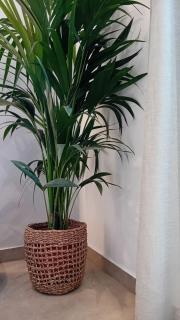 Anais Milos Suites - Adamantas - 7