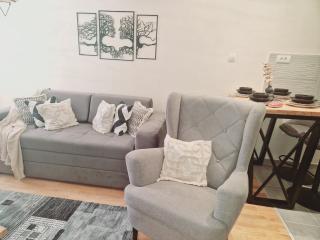 Apartmani Djuric Grey - 3