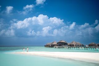 Coco Bodu Hithi - 50 percent off shared roundtrip Speedboat for stays from 1 May to September 2025 - Noordelijke Malé-atol - 4