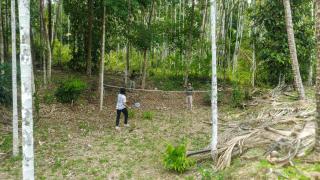 River Land Camping, Trekking and Boating Cherupuzha - Peringom - 0