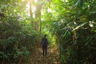 River Land Camping, Trekking and Boating Cherupuzha - Peringom - 4