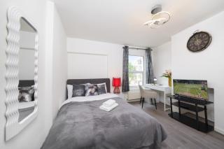 Stylish and newly renovated flat in Hackney - Londra - 9