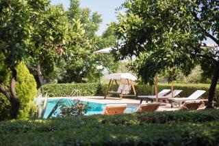 Pelion's Finest Estate - Káto Lekhónia - 4
