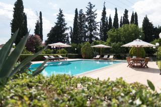 Pelion's Finest Estate - Káto Lekhónia - 9