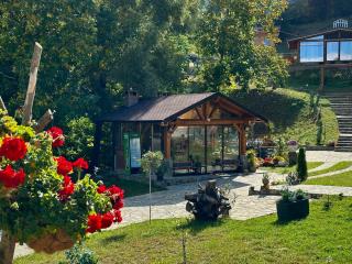 Mon Resort by Ana1St - Scărişoara - 3