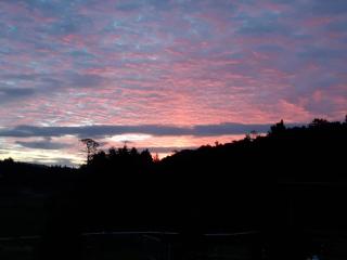 Dream Weavers Farm Cabin - 5